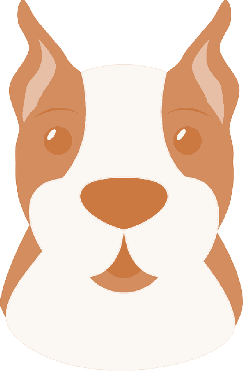 Mb Image/png - Dog (800x1219)