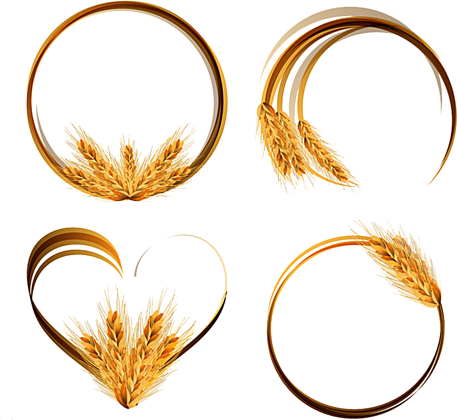 Wheat Ear Cereal Clip Art - Vector Graphics (994x934)