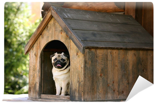 Best Wooden Dog Houses (400x400)