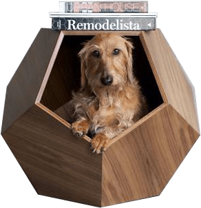 Unique Wooden Cat House - Modern Dog Furniture (416x429)