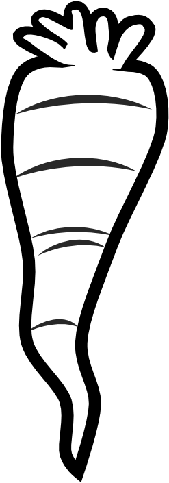 Carrot Black White Art - Black And White Image Of Carrot (555x785)