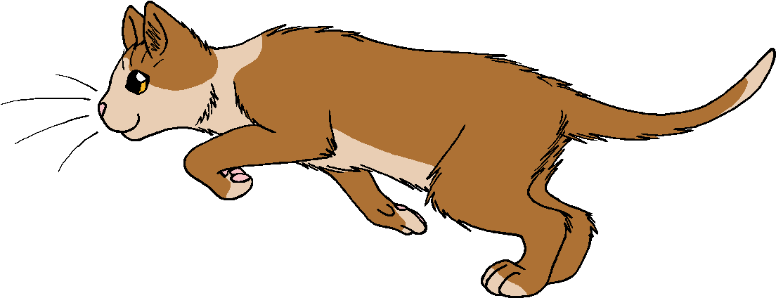 Apprentice Fourth The Cats Warriors - Warrior Cats Tawnyspots (1175x466)