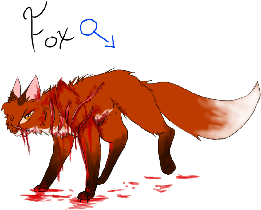 Warriors Oc ~fox~ By Joyfulkitty - Warrior Cats Fox Oc (978x732)