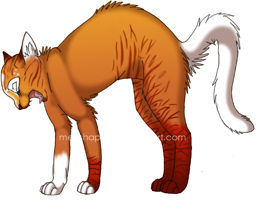 Firemist - Warrior Cats Orange Cat (900x721)