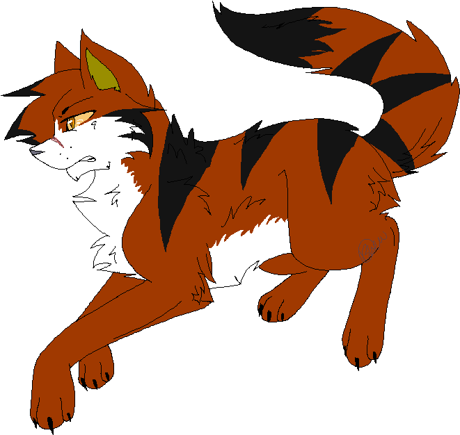 Warrior Cat Tigerclaw Drawing (673x639)