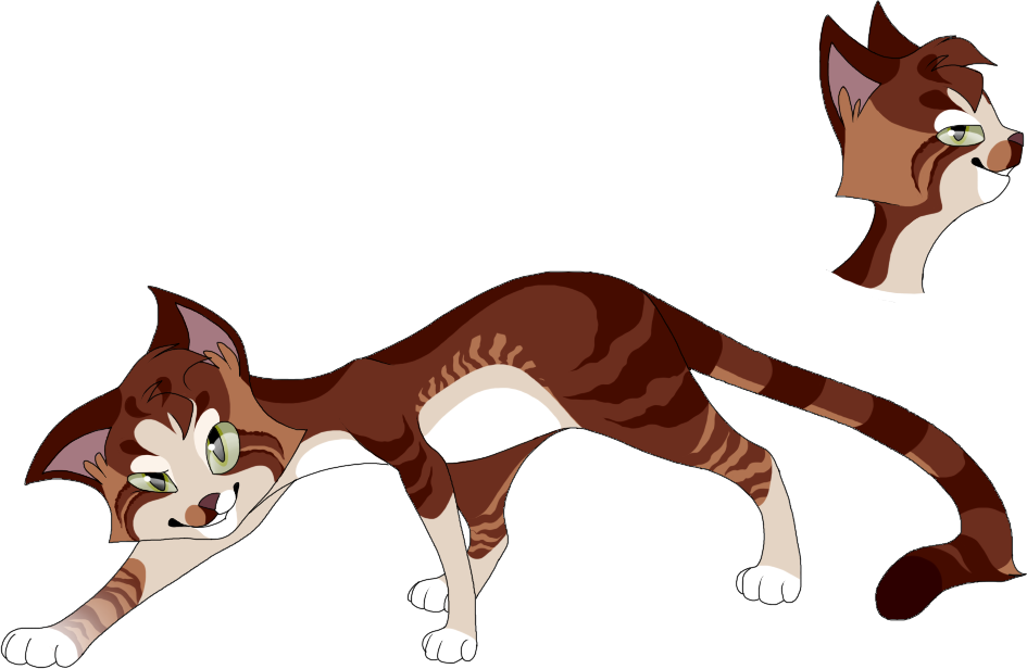 Warrior Cats, Warriors - Cartoon (945x616)