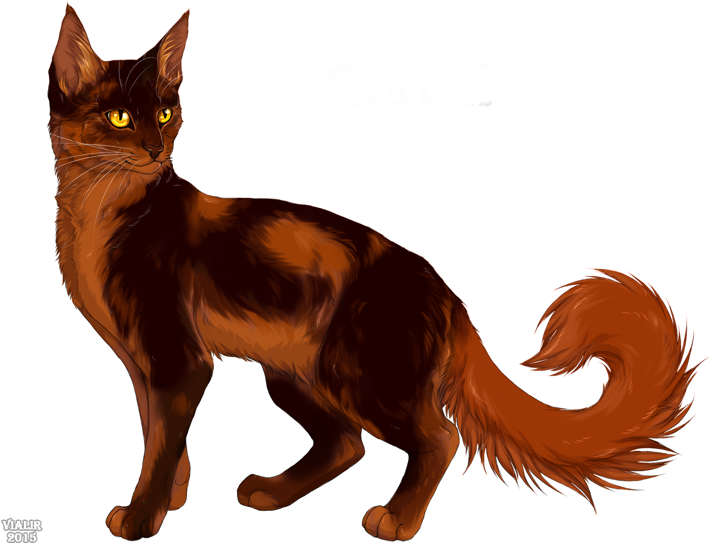Warrior Cats Riverclan Family Tree Download - Cat With Red Tail.