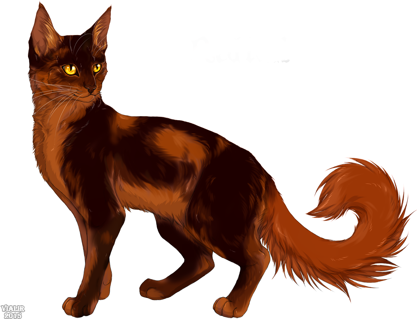 Warrior Cats Riverclan Family Tree Download - Cat With Red Tail (1464x1121)