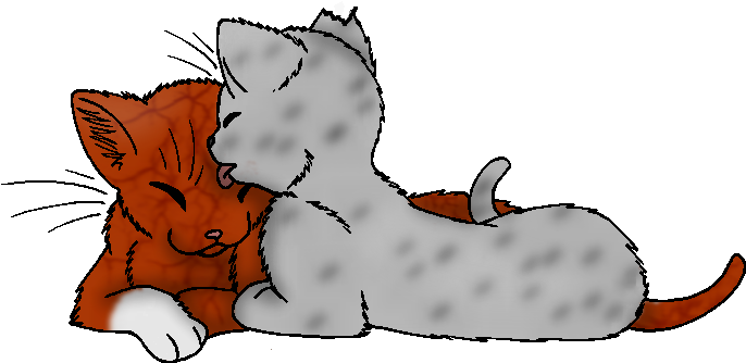 Ashfur And Squirrelflight - And (739x388)
