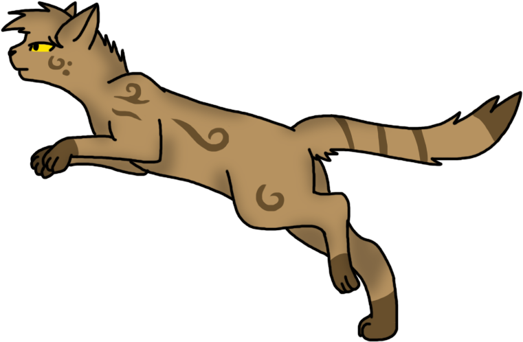 Rafelster Warrior Cats - Warrior Cats Wind Runner (904x555)