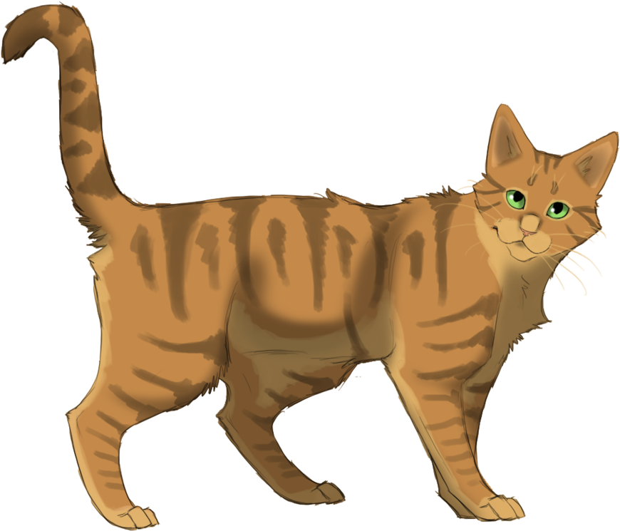 Crookedstar Warrior Cats - Guerre Des Clans Etoile Balafrée (900x767)