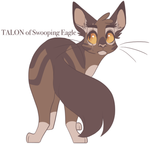 100 Warrior Cats Challenge - Warrior Cats Talon (500x476)