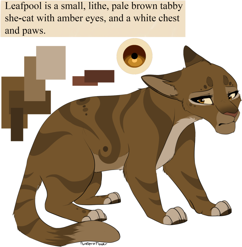 Leafpool By Purespiritflower Leafpool By Purespiritflower - Brown And White Warrior Cats Oc (894x894)