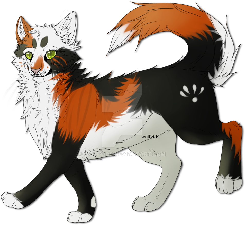 Phantomkisses The Warrior Cat By Wolfvids Phantomkisses - Warrior Cat Deviantart (1024x1024)