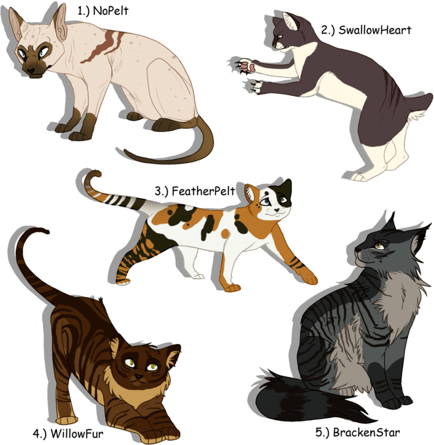 Warriors Cats Drawing (894x894)