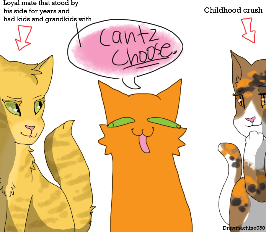 Funny Warrior Cat Memes (900x800)