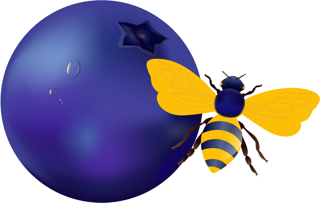 Blueberry Bee - Honeybee (1400x933)