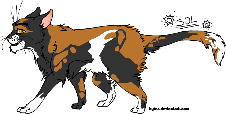 Warriors- Sol By Kytes - Transparent Sol Art Warriors (780x400)