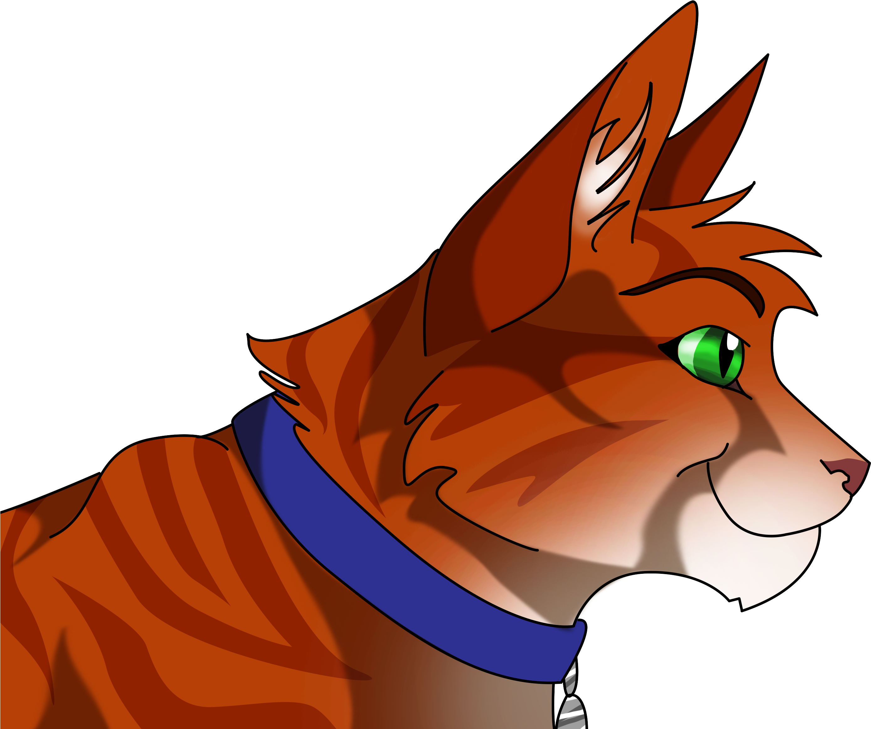 Jake Warriors - Jake The Warrior Cat (2952x2412)