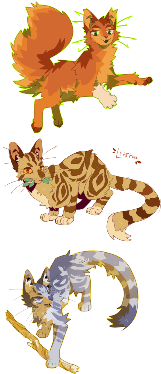 Squirrelflight Leafpool Jayfeather By Murkbone - Drawing (593x1346)