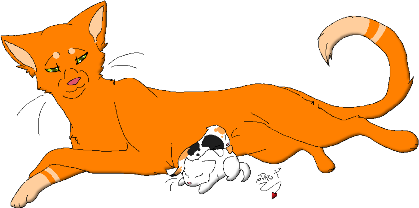 Squirrelflight's Kits By Elementsofnature - Squirrelflight's Kits (900x450)