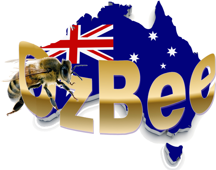 Oz Bee Honey - Study In Australia Png (750x600)