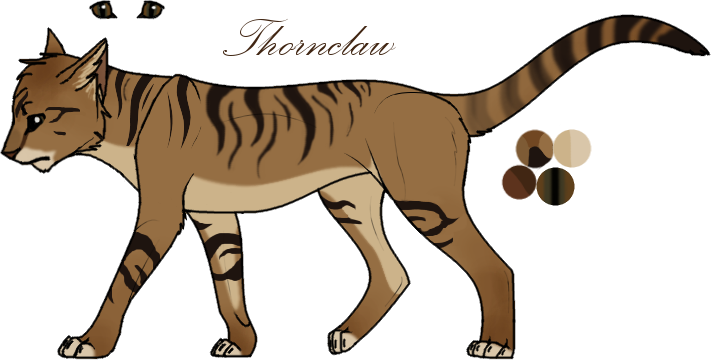 Warrior Cats Thunderclan Thornclaw (711x360)