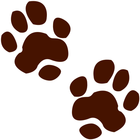 Footprint Clipart Transparent - Footprint Lion (512x512)