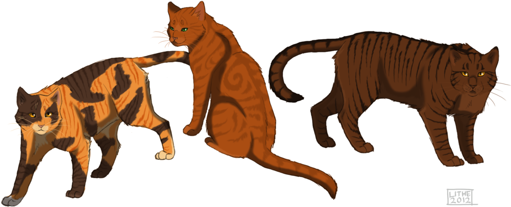 Squirrel And Bramble Kits By Lithestep - Lithe Warriors Cat (1024x418)