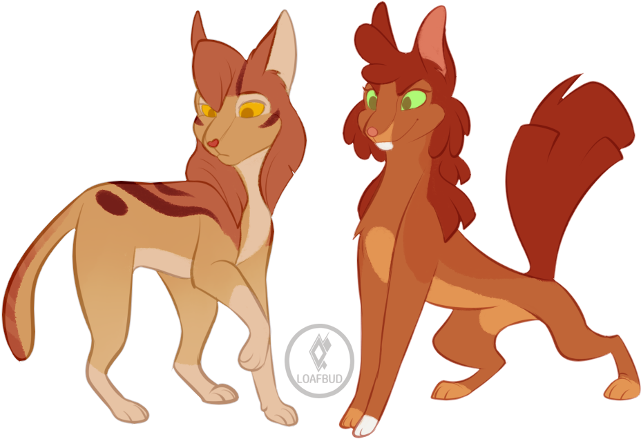 Loafbud Loafbudart Warrior Cats Warrior Cats Designs - Firestar (1232x744)