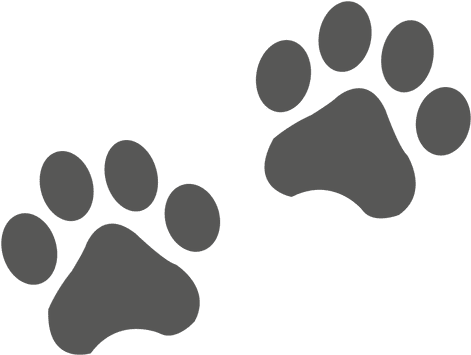 Cat Footprint Icon Transparent Png - Dog Border (512x512)
