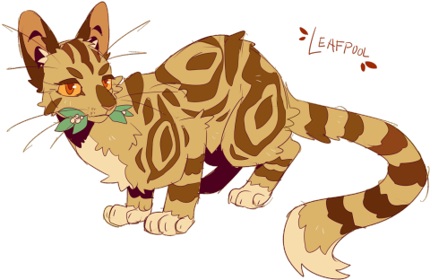 Aaa Could You Do A Leafpool Too Thank You Warrior Catscat - Drawing (500x331)
