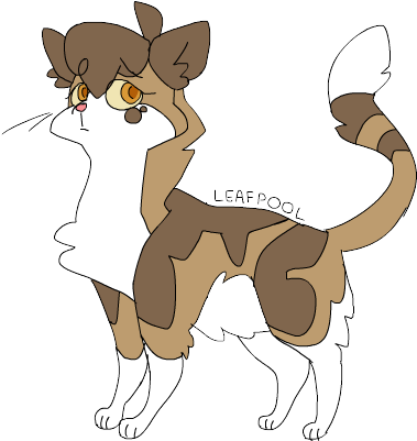 Tumblr Mus9qvnkln1skmox9o1 R1 500 By Summarytax26 Tumblr - Warrior Cats Nifty Senpai Leafpool (500x400)