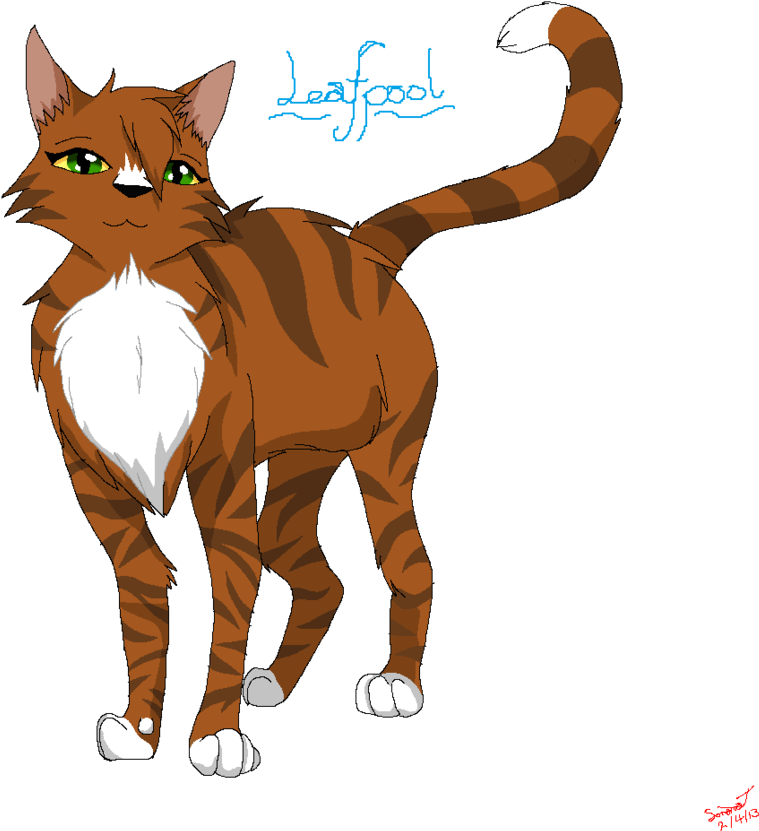 Leafpool By Skybluearts On Deviantart - Abyssinian (905x882)