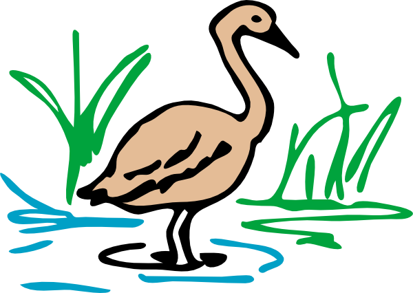 How To Set Use Goose Svg Vector - Duck Drawing In Color (600x426)