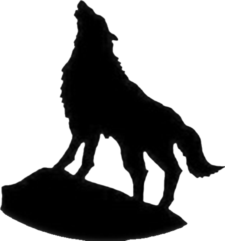 Indian Wolf Samsung Galaxy S9 Screensaver Wallpaper - Wolf Silhouette Necklace - Wolf Howl Jewelry - Nature (1000x1000)