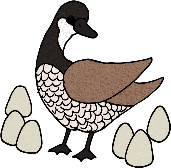 Six Eggs A Goose Laid By Sh4rk3y - Duck (612x612)