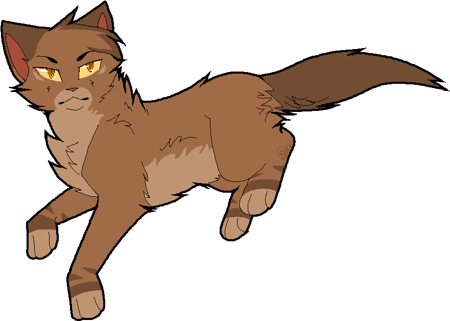 Source - - Warrior Cats One Star (906x648)