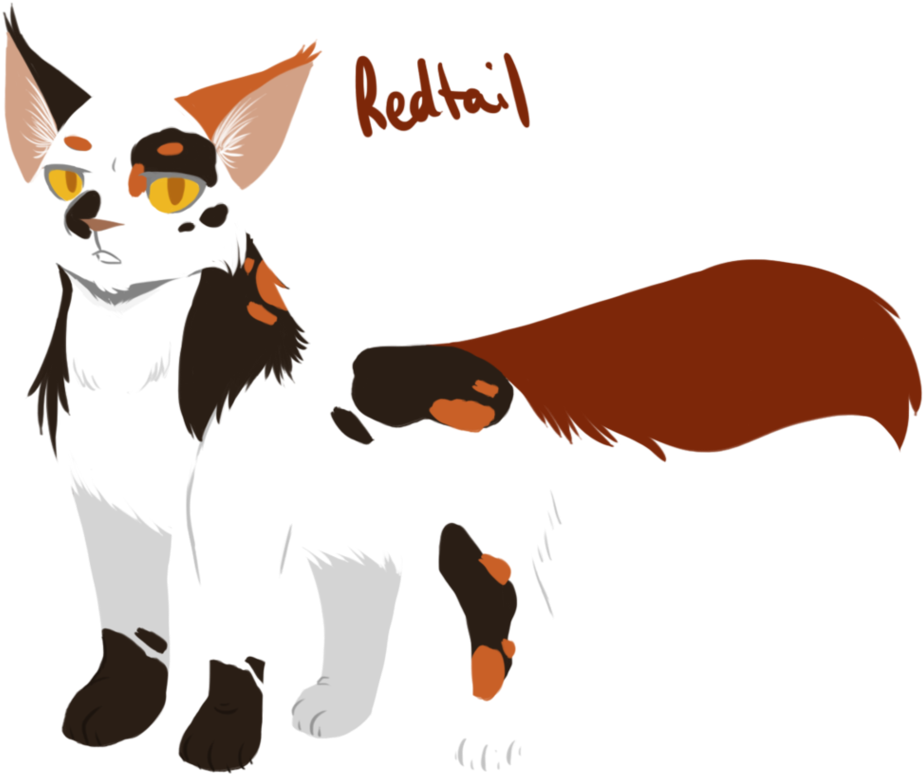Redtail By Toboe5tails - Warrior Cats By Toboe5tails (972x823)