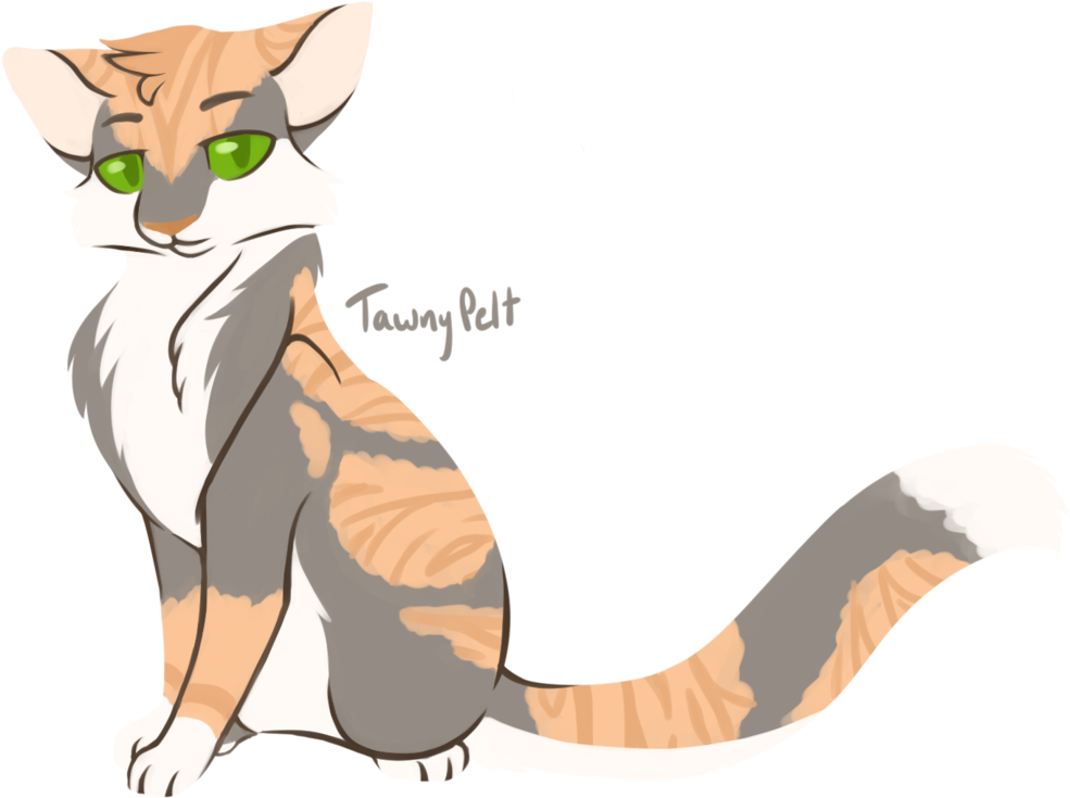 [100 Warrior Cats Challenge] - Tawnypelt (1024x758)