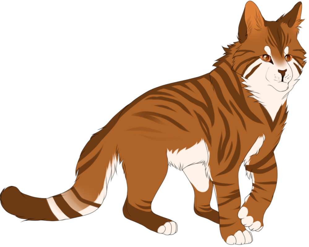 Thunderstar By Spottedfire23 - Warrior Cats Thunderstar (999x799)
