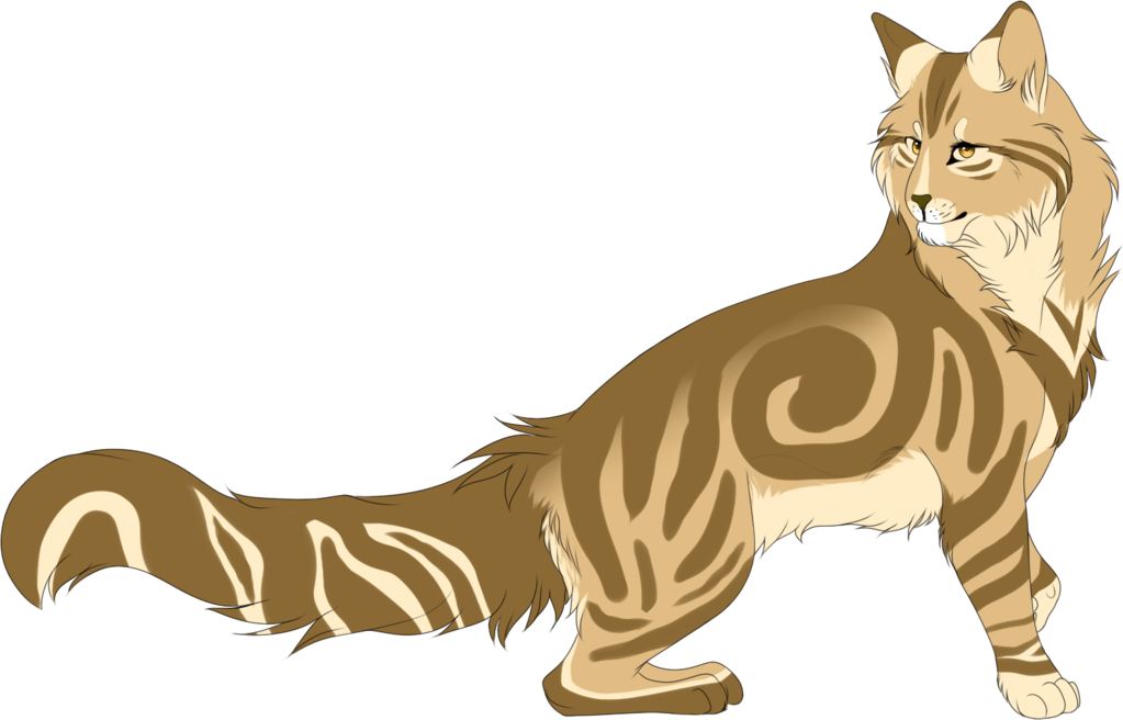 Mothwing By Spottedfire23 - Mothwing (1023x656)