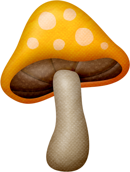 Яндекс - Фотки - Pinterest (450x630)