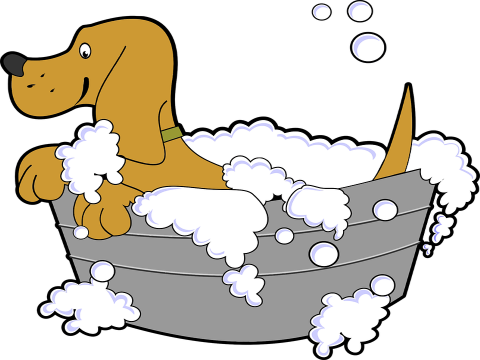 Animal Nursery Rhymes For Kids - Dog Taking A Bath Clipart (480x360)