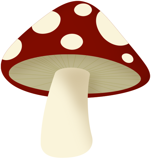 Album - Edible Mushroom (527x556)