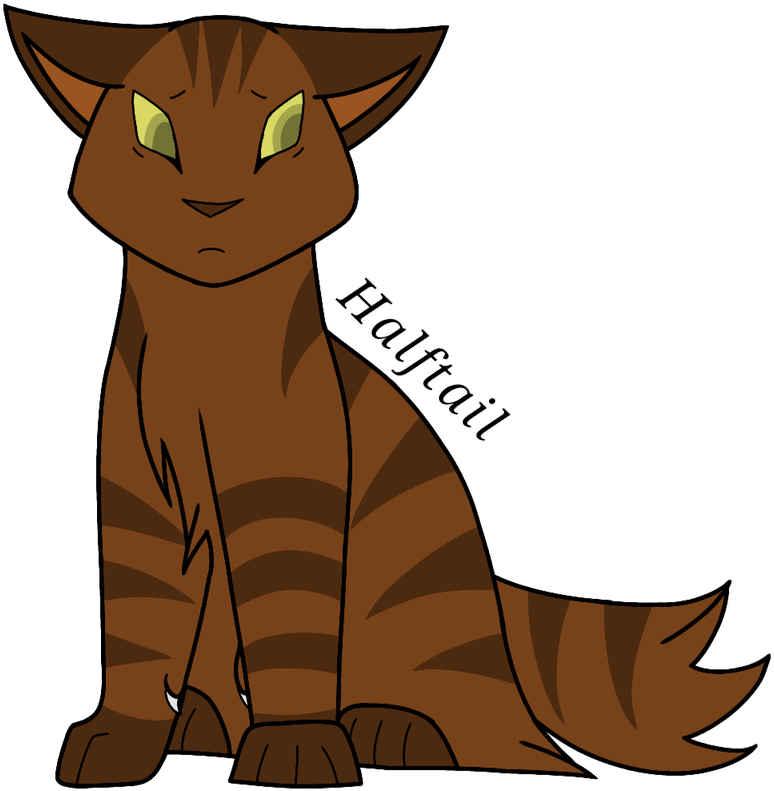 Halftail Thunderclan Elder Roestail Thunderclan Elder - Cat Yawns (800x1200)