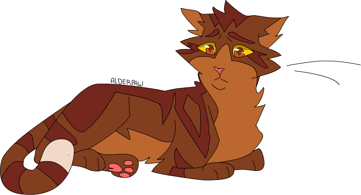 Warrior Cats Alderpaw Thunderclan - Alderpaw Warrior Cats (1157x625)