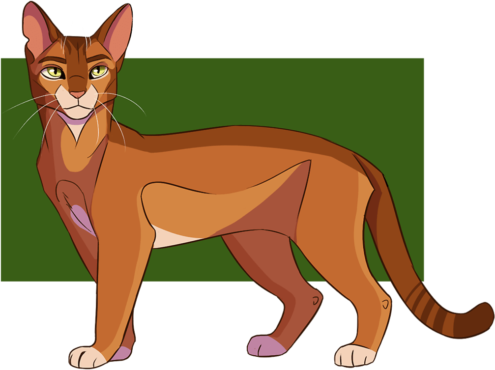 Climbtothestars Warriors (1042x767)