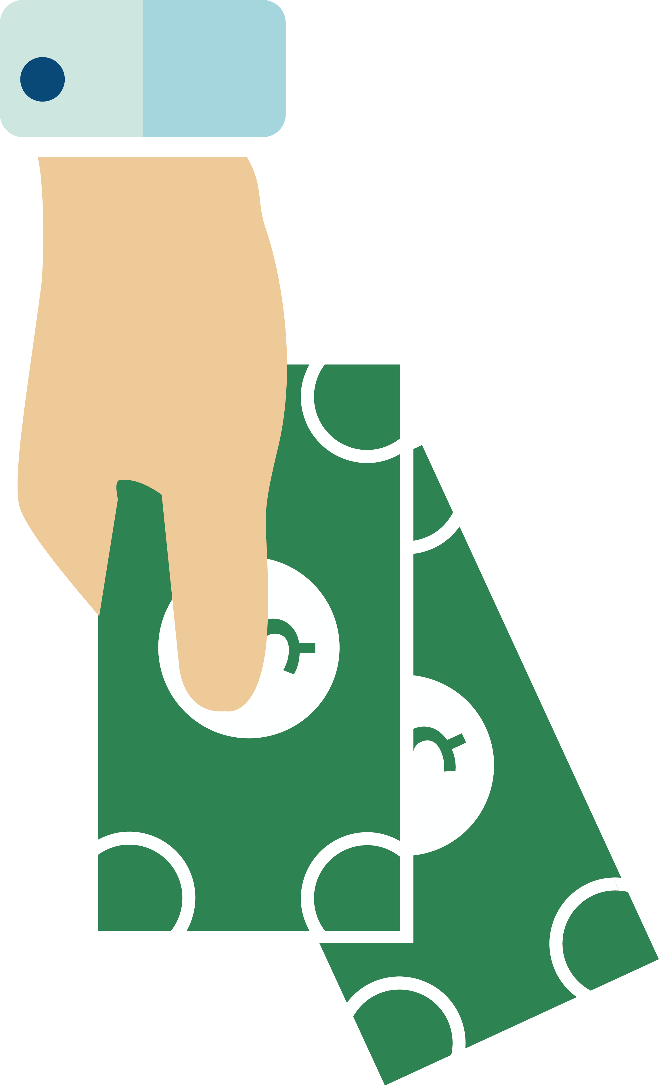 Vector Holding Dollar - Retorno Investimento Png (2292x3775)