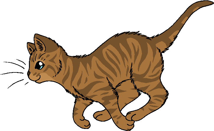 Coloring Pages Warrior Cats (831x510)